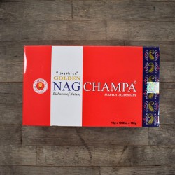 Venta por mayor de Golden  Champa